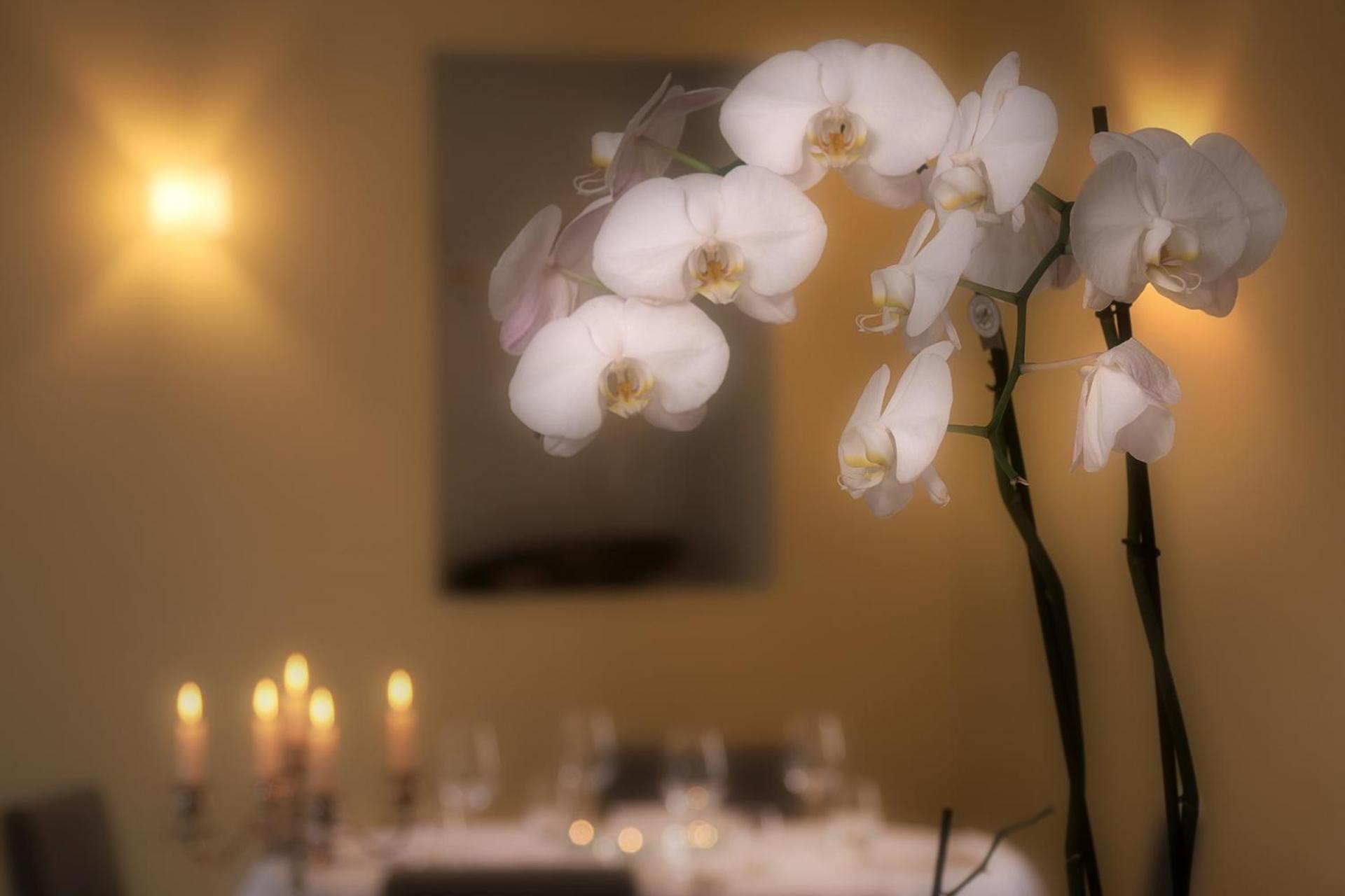 Ristorante Charme Hotel Tre Terre Ponte Brolla Exteriör bild